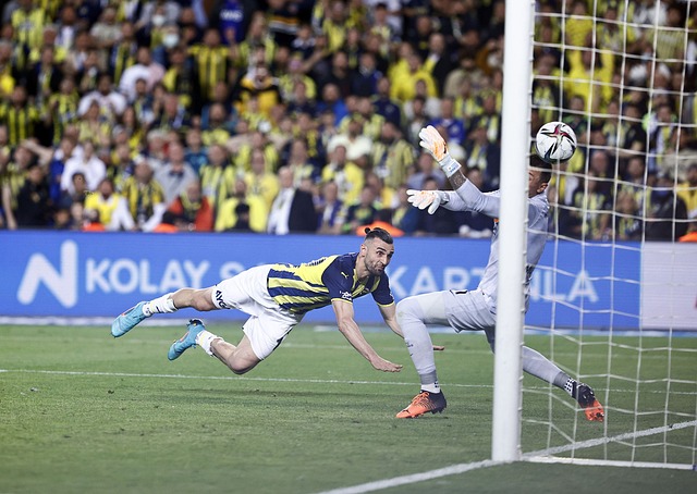 以令人瞩目 以令人瞩目