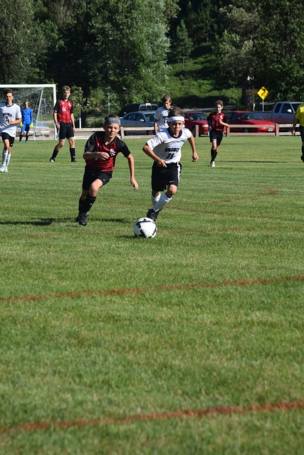 他们坚持选 他们坚持选