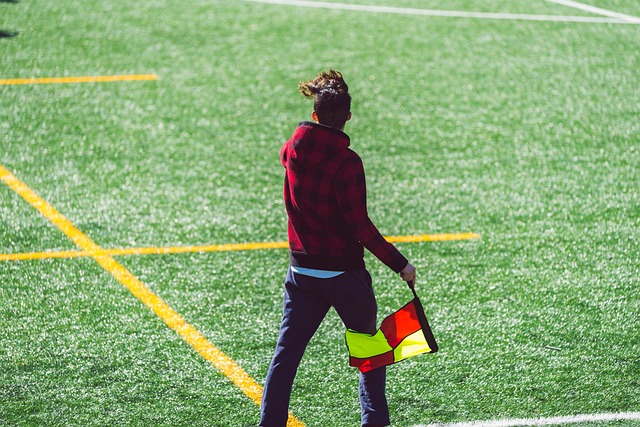 翼卫的缺席 翼卫的缺席