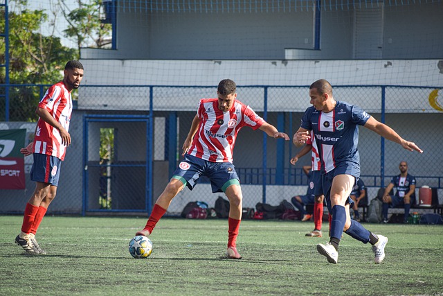 他丰富的比 他丰富的比