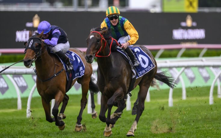 展现了稳定 展现了稳定