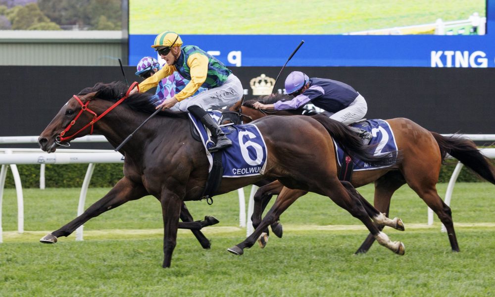 各地社区也 各地社区也