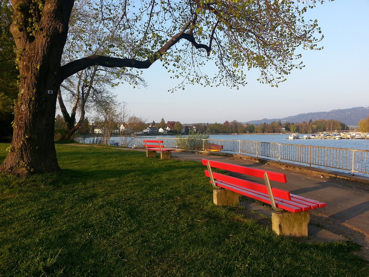 这充分展示 这充分展示